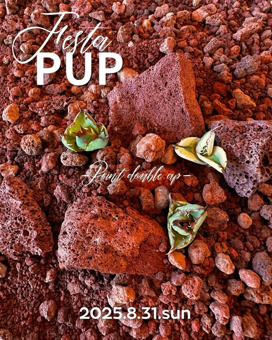 ONE-KPLANTSがPUPFesta2025を開催、世界各地の子株販売と特典企画が茨城に集結