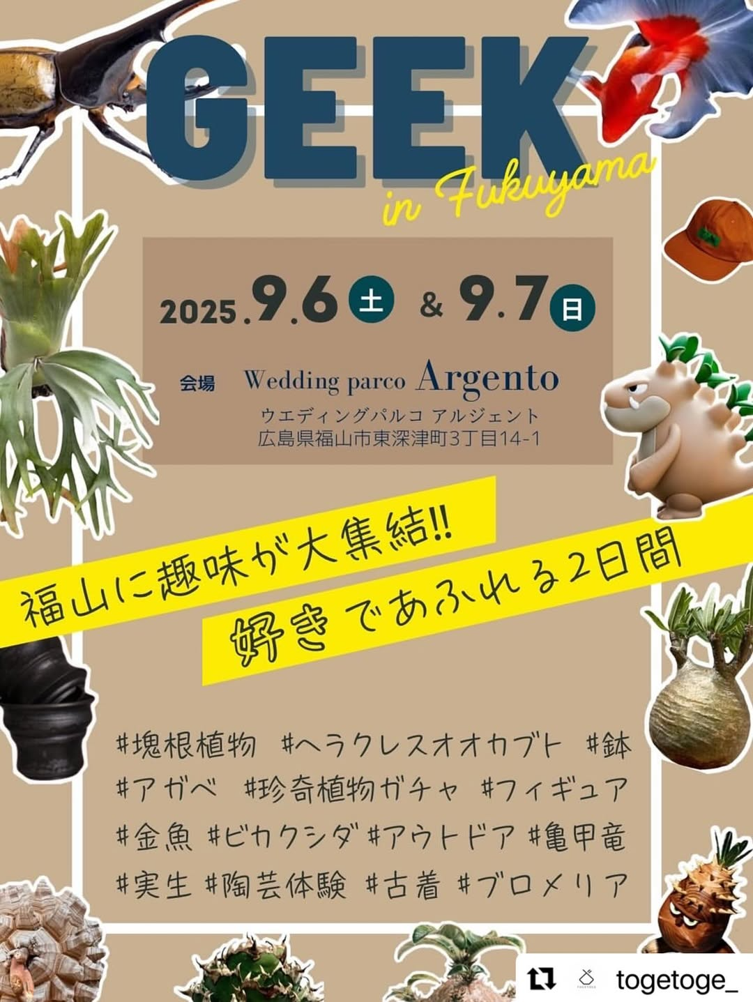 GEEK 2025が広島県福山市で9月6日・7日開催、塊根植物・ビカクシダ GEEK 2025が広島県福山市で9月6日・7日開催、塊根植物・ビカクシダ