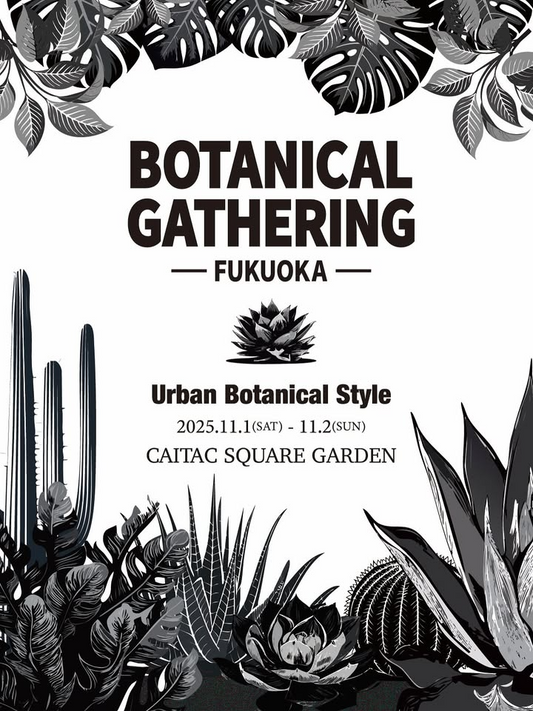 BOTANICAL GATHERING FUKUOKA 2025が福岡で11月1日・2日開催、九州最大級の都市型ボタニカルイベントで約40店舗集結