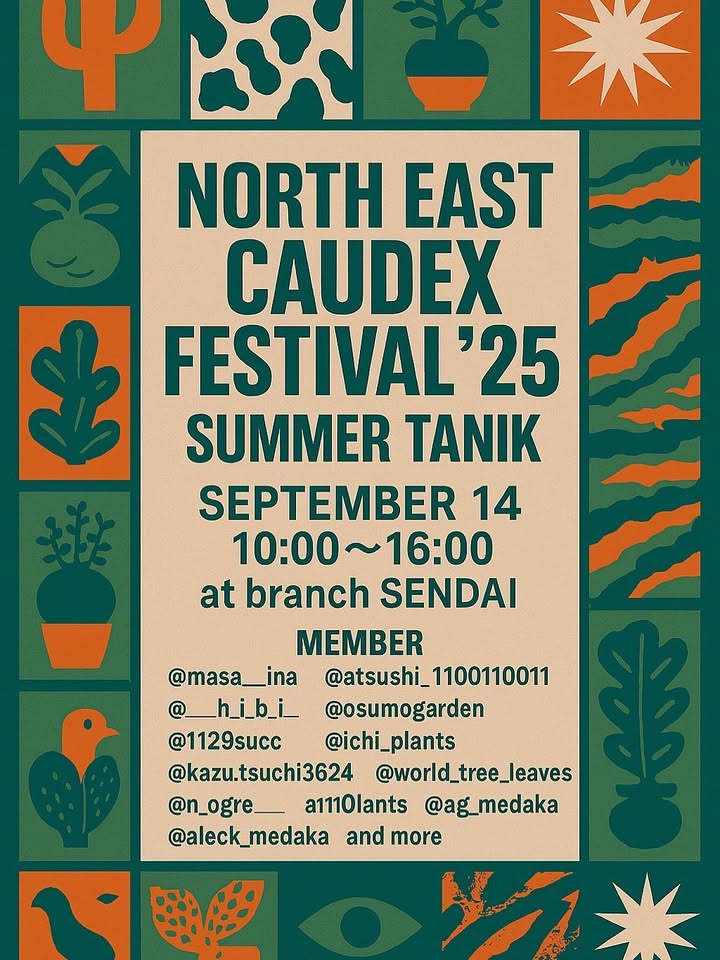 NORTH EAST CAUDEX FESTIVAL'25 SUMMER TANIKが9月14日開催、13名の趣味家によるアガベ・塊根植物の交流販売会