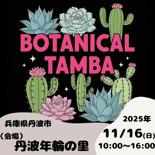 BOTANICAL TAMBA 2025が11月16日開催、丹波初の多肉植物とガーデン雑貨イベントで県内外の人気店が集結