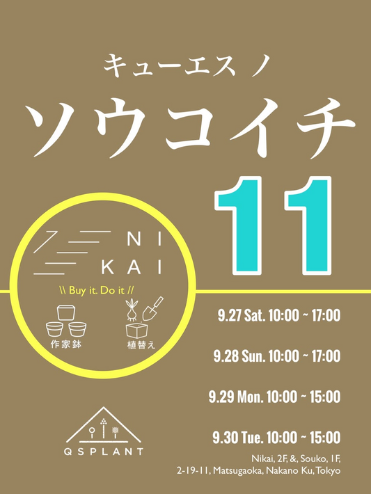 キューエスノソウコイチ11が9月27日開催、中野区soukoで500株以上の植物と作家鉢を展示販売