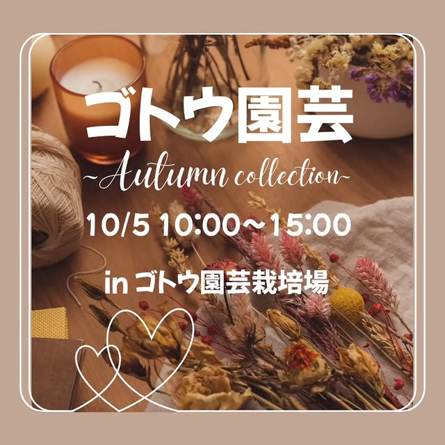 ゴトウ園芸が秋の多肉植物販売会を開催、10月5日に専門店と作家が集いゴトウ園芸栽場所で愛好家の注目を集める