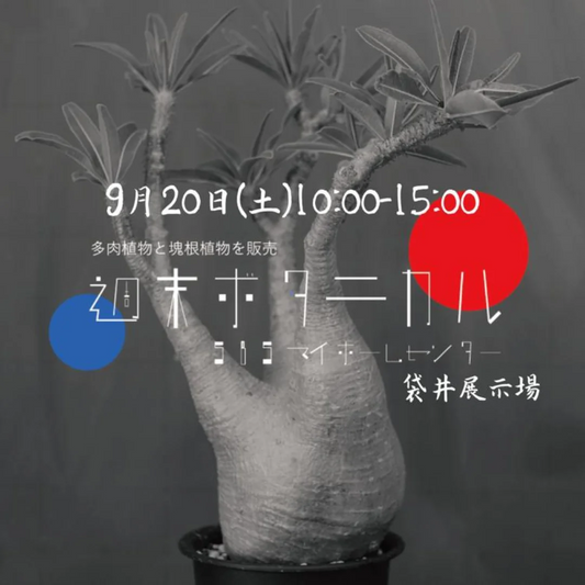 週末ボタニカル in 袋井展示場2024が9月20日開催、20店舗以上がアガベ・塊根植物を出展
