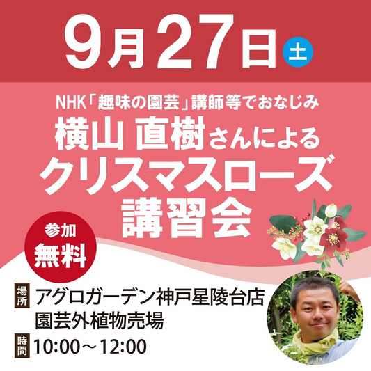 横山直樹さんがアグロガーデン神戸星陵台店でクリスマスローズ講習会を開催、NHK「趣味の園芸」講師による無料指導