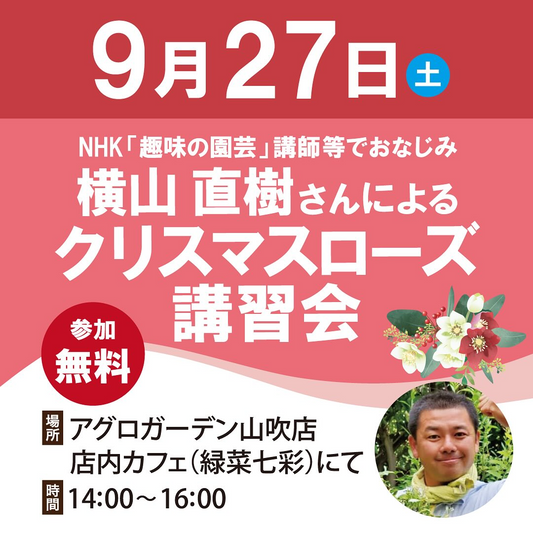 横山直樹さんがアグロガーデン山吹店でクリスマスローズ講習会を開催、NHK「趣味の園芸」講師による無料指導