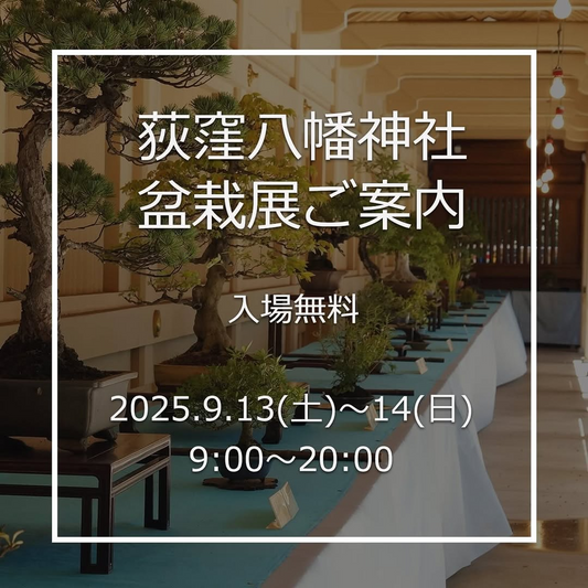 荻窪八幡神社 盆栽展を地域愛好家が開催、9月13日と14日に入場無料で無料相談と有志展示を実施
