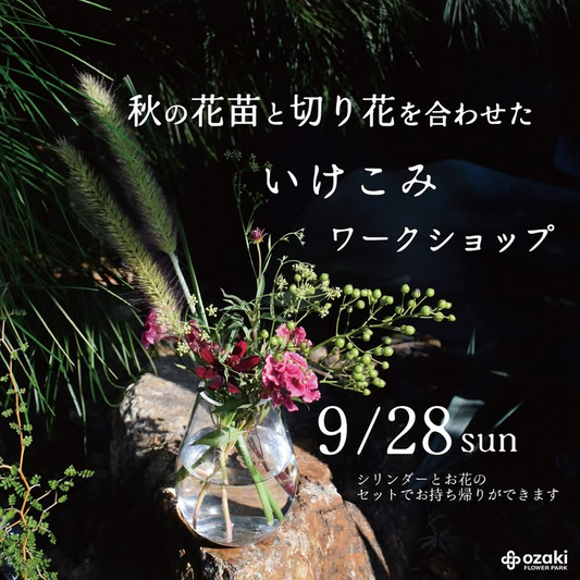 オザキフラワーパークがいけこみ体験を開催、秋の花苗と切り花を学ぶ実践ワークショップ2025が練馬で注目を集める