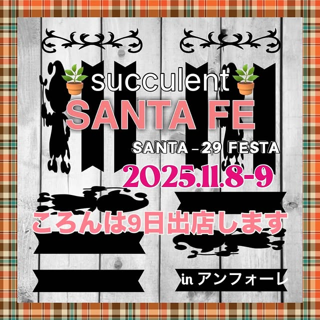 第18回SANTA_29 FESTA2025が愛知県安城市で11月8日・9日開催、80店舗以上の多肉植物・フード出店で初の2日間開催