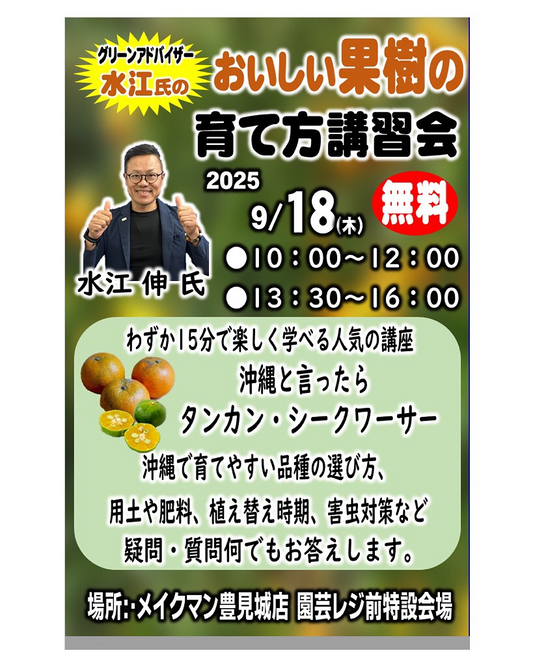 メイクマン豊見城店がおいしい果樹の育て方講習会2025を開催、タンカンやシークワーサーの栽培基礎を無料解説