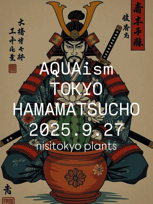 AQUAism VOL.3を主催ツルケンが開催、東京都立産業貿易センター浜松町館で多彩なアクアリウム体験が集結し来場者の期待を集める