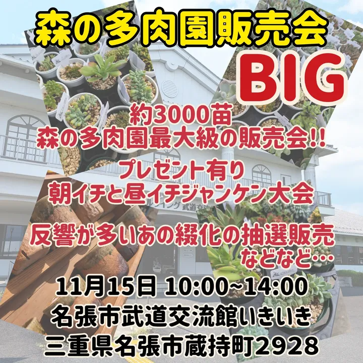 森の多肉園が販売会BIGを名張で開催、約3000苗と綴化抽選やコラボ鉢が愛好家の関心を集める