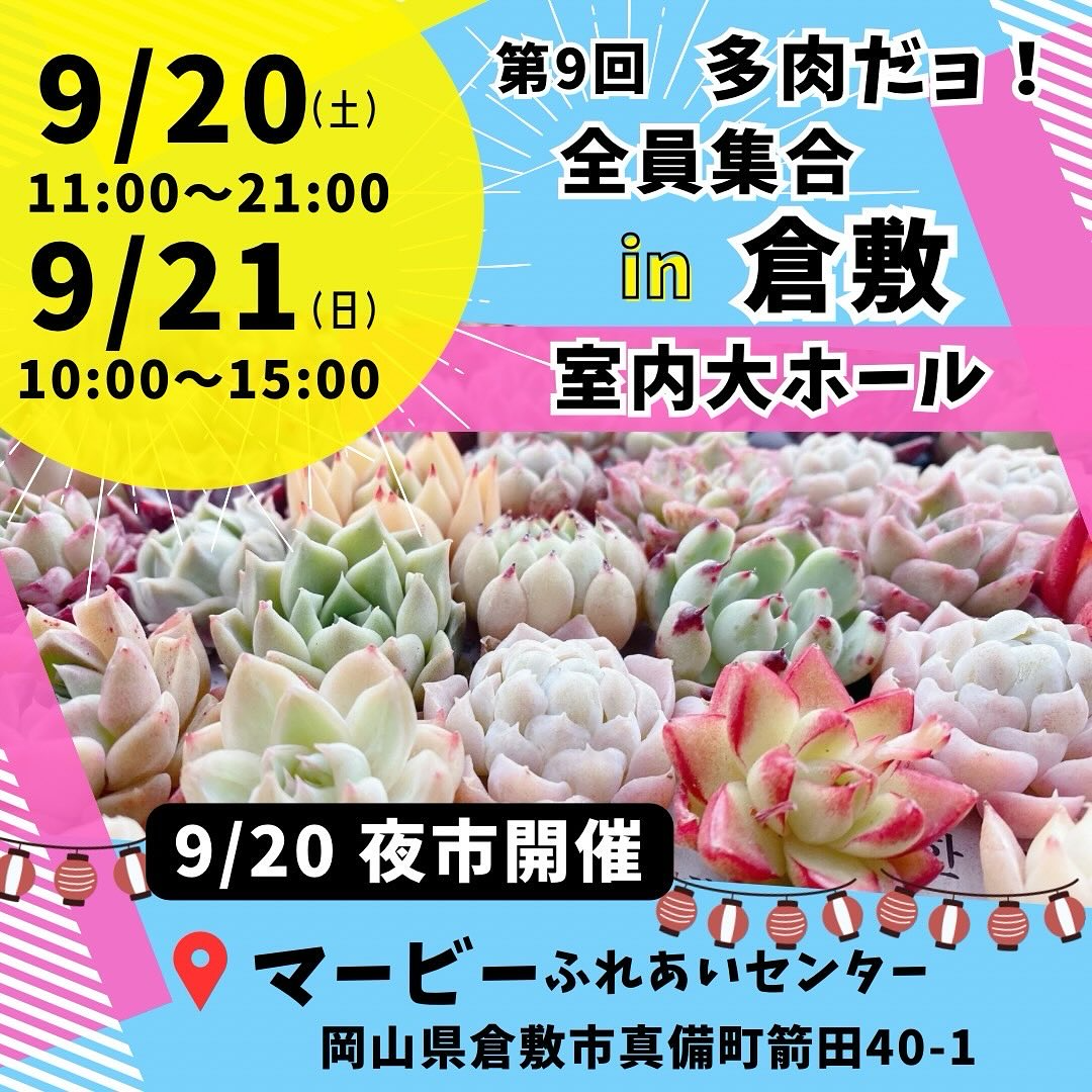 多肉だョ全員集合in倉敷が2日間開催、室内大ホールと夜市が来場者参加型の魅力に