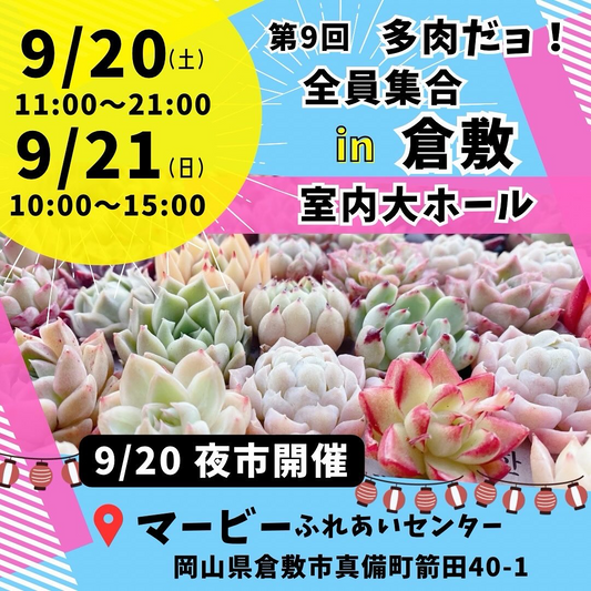 多肉だョ全員集合in倉敷が2日間開催、室内大ホールと夜市が来場者参加型の魅力に