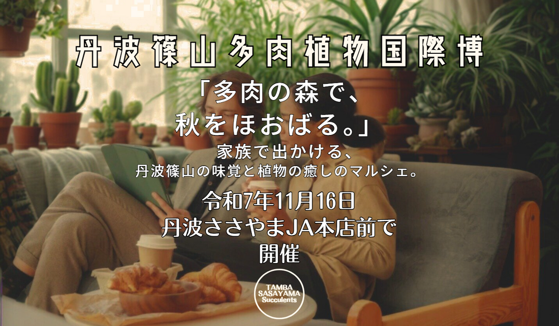 丹波篠山多肉植物国際博2025を丹波ささやまJA本店前で開催、秋の味覚と多肉のマルシェが家族で楽しめる