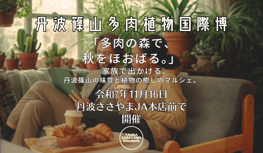 丹波篠山多肉植物国際博2025を丹波ささやまJA本店前で開催、秋の味覚と多肉のマルシェが家族で楽しめる