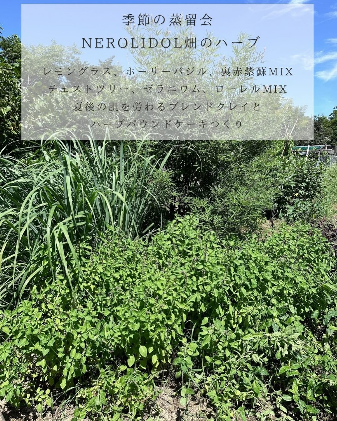 NEROLIDOLが季節の植物蒸留会を開催、畑のハーブをMIX蒸留し菓子作りとクレイ実践を体験できる2025のワークショップ