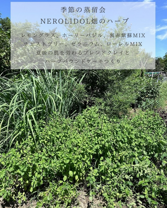 NEROLIDOLが季節の植物蒸留会を開催、畑のハーブをMIX蒸留し菓子作りとクレイ実践を体験できる2025のワークショップ