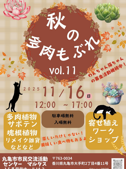多肉もぶれがvol.112025を開催、寄せ植えと出店の交流が丸亀の室内会場に集結