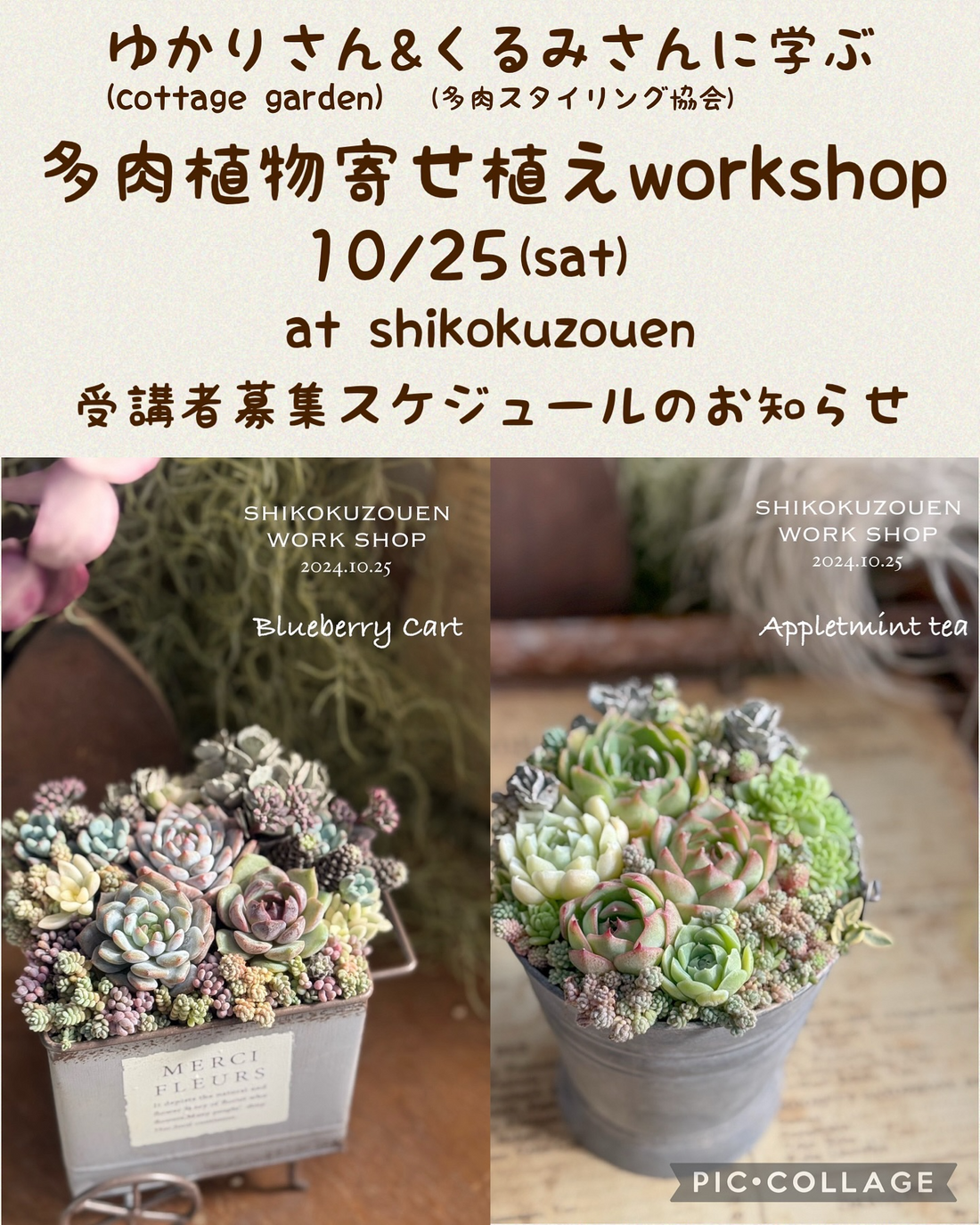 ゆかりさんとくるみさんが寄せ植え教室を開催、四国造園の2025年workshopが技法習得と作品づくりの学びに