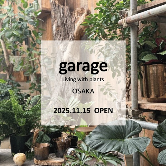garageOSAKAが2025年11月15日にKITTE大阪で開業、関西初出店が観葉植物とブロカントを提案