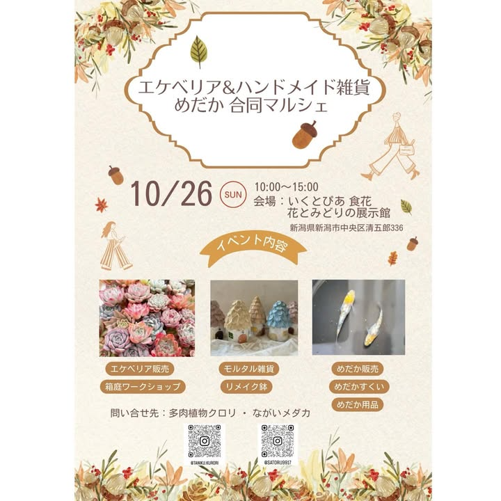 エケベリア&ハンドメイド雑貨めだか合同マルシェが開催、新潟いくとぴあ花と緑で多肉の特別割引
