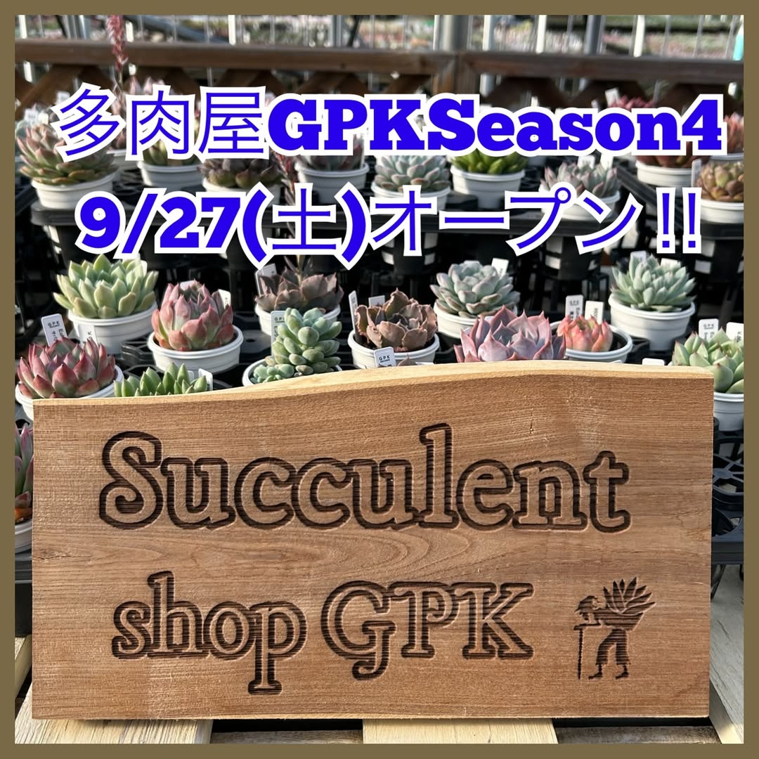 多肉屋GPKがSeason4の開店記念イベントを開催、命名株と多肉ガチャが滝沢の実店舗で注目