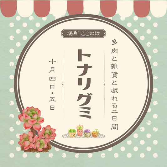 ここのはがトナリグミを開催、多肉と雑貨のミニ販売会が兵庫加西市で注目を集める
