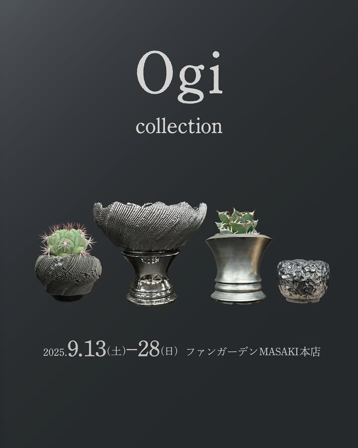 OgiがOgi collection 2025を実施、GILAシリーズを愛媛のファンガーデンMASAKI本店で店頭展示販売