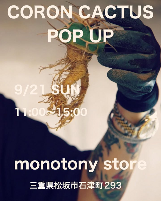 CORONCACTUSがPOPUPを開催、monotonystoreでサボテン販売と限定Tシャツ展開が来場者の関心を集める