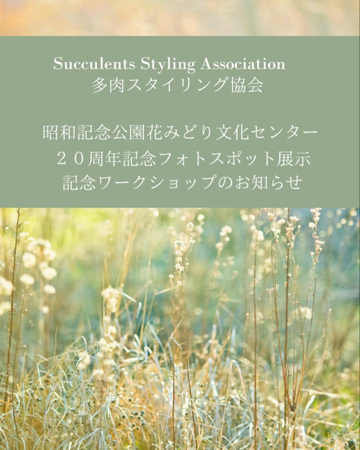 昭和記念公園花みどり文化センターが20周年記念事業で多肉植物の寄せ植えワークショップを開催、展示やSucculentsNoel連動企画が来場動機を高める