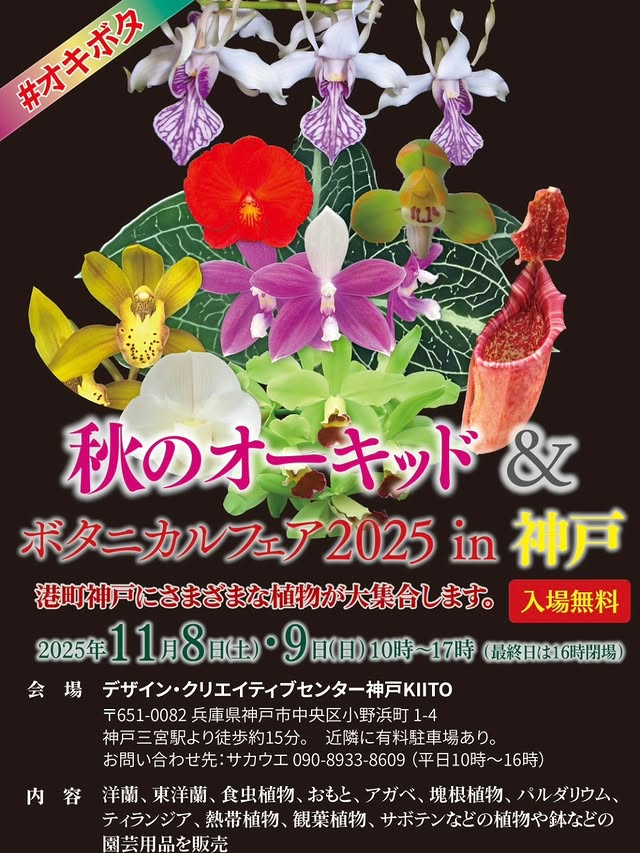 秋のオーキッド&ボタニカルフェア2025が神戸KIITOで開催、多彩な洋蘭と植物の販売が愛好家に届く