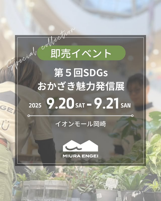 三浦園芸が第5回SDGs・おかざき魅力発信展に出展、イオンモール岡崎でハイドロカルチャー販売