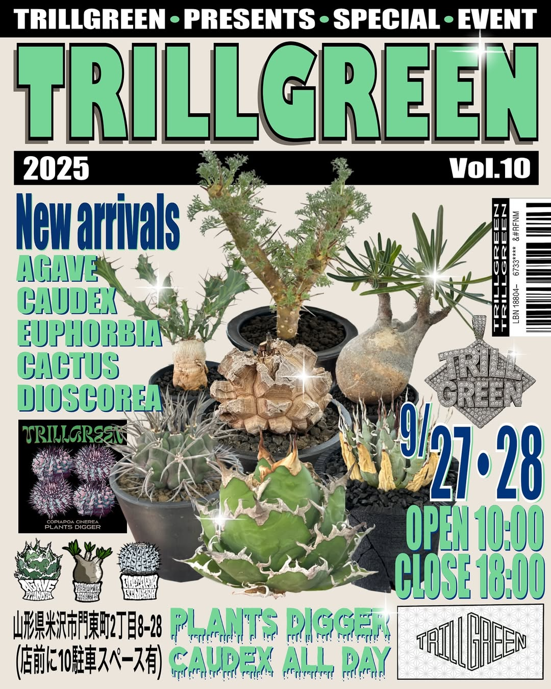 TRILLGREENがセールイベントを開催、アガベベアルート株や冬型コーデックスが入荷し東北の植物愛好家の購買意欲を喚起