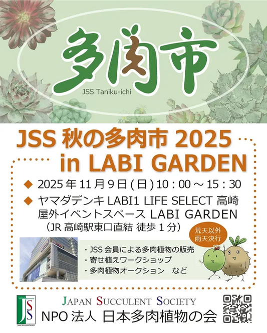 日本多肉植物の会JSSが秋の多肉市2025を開催、ヤマダデンキLABI1高崎のLABI GARDENに14組が集結