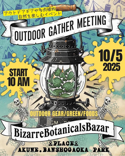 第2回OUTDOORGATHERMEETINGxBizarreBotanicalsBazaarが阿久根で開催、番所ヶ丘公園で多肉とアウトドアの交流が広がる