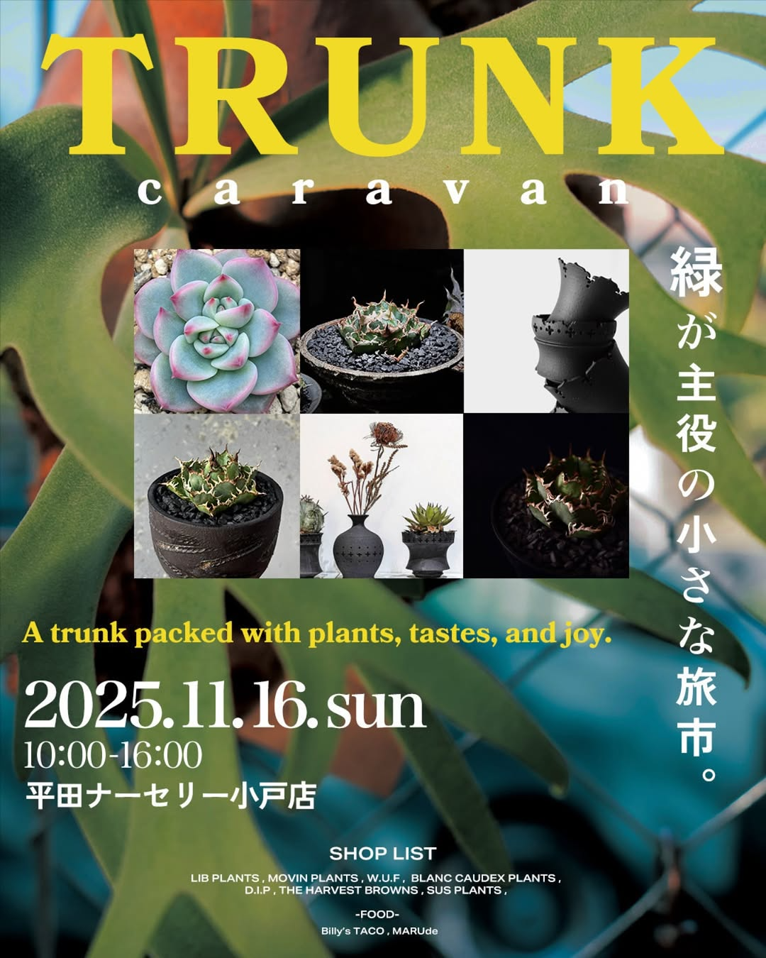 TRUNKcaravanvol.1が植物販売とキッチンカーを開催、平田ナーセリー小戸店で福岡の植物好きを惹きつける