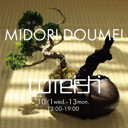 MIDORI DOUMEIがtomeishi企画を開催、渋谷神宮前で2025年10月1日から13日に観葉植物を展示販売