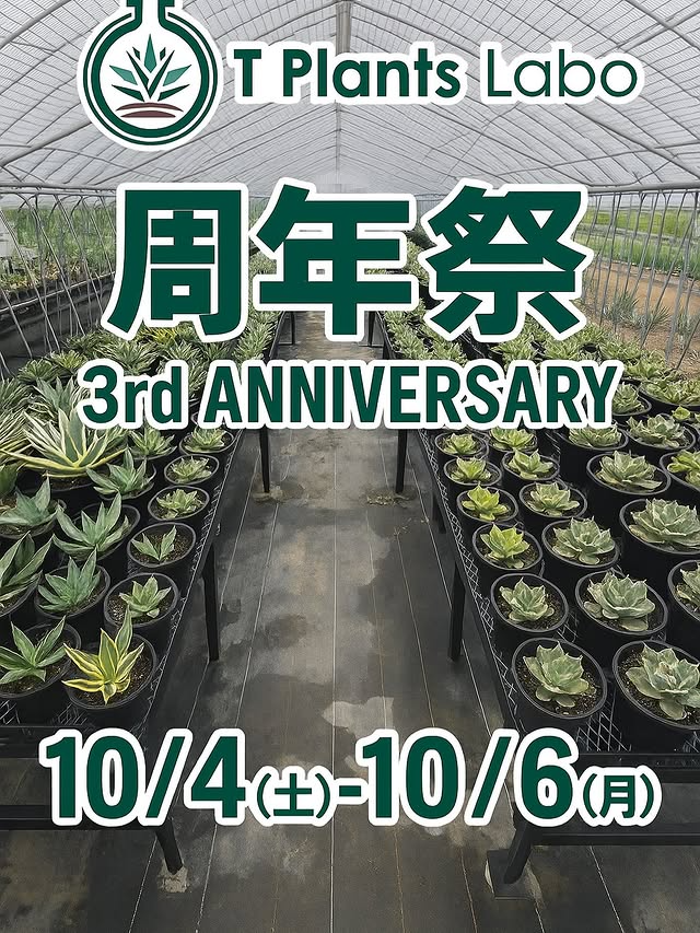 T Plants Laboが3周年祭を開催、特価販売と限定鉢HATTIやコレクション株が来店動機に