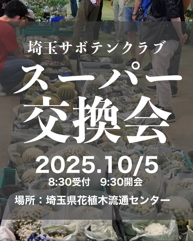 埼玉サボテンクラブがスーパー交換会2025を開催、会員外も参加可能で会費優遇が交流拡大に