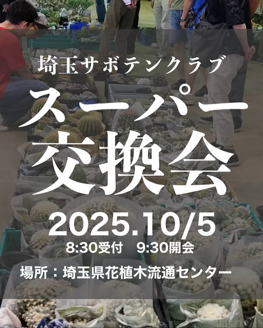 埼玉サボテンクラブがスーパー交換会2025を開催、会員外も参加可能で会費優遇が交流拡大に