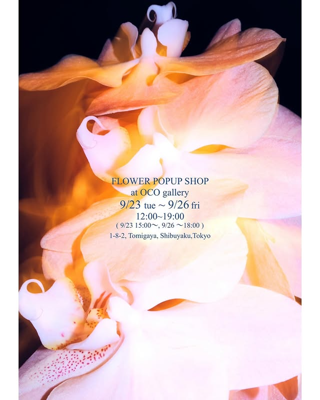 75(nago)がFLOWER POPUP SHOPをocogalleryで開催、9月23日から26日の会期で秋の切り花を提案