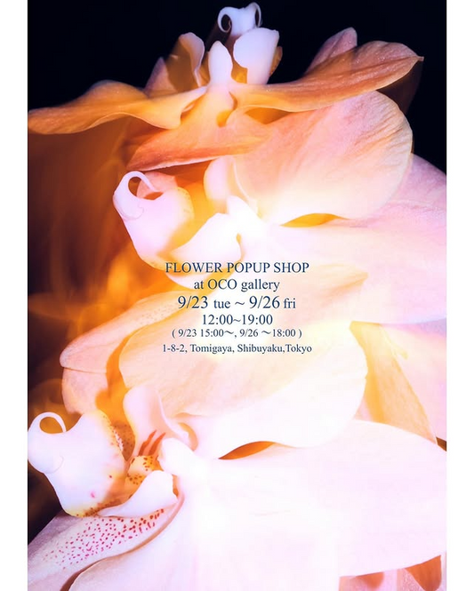 75(nago)がFLOWER POPUP SHOPをocogalleryで開催、9月23日から26日の会期で秋の切り花を提案