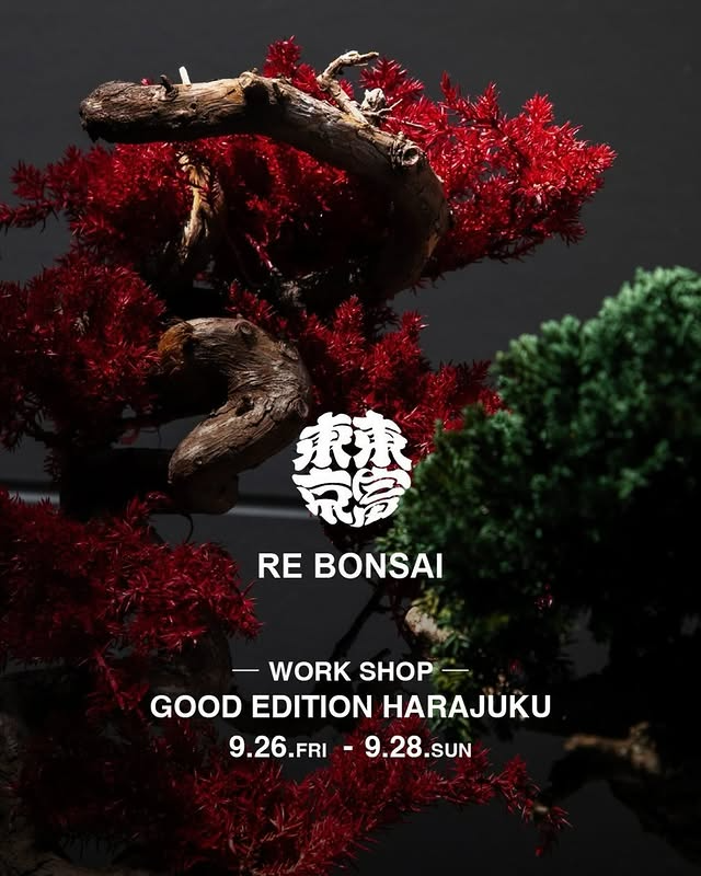 RE BONSAI™が原宿でワークショップを開催、GOOD EDITION原宿のPOP-UPと連動し盆栽アート体験が来場者の関心を集める