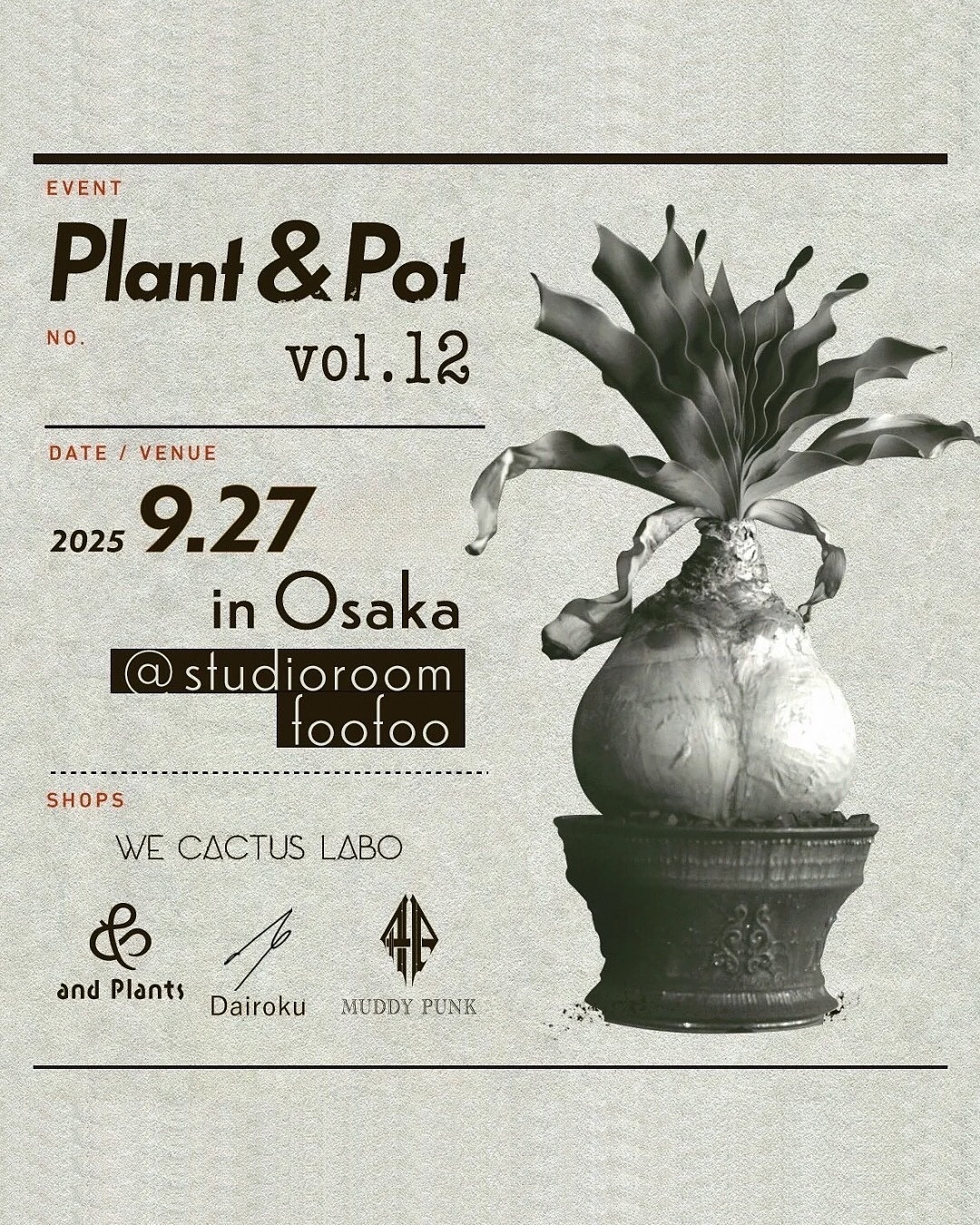 主催者がPlant&PotVol.12を大阪studioroom22で開催、人気鉢作家と植物店が協演し塊根植物の魅力が来場者の関心を集める