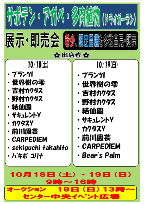 宇都宮のみのり花木センターが展示即売を開催、サボテンとアガベのドライガーデン提案が愛好家の関心を集める