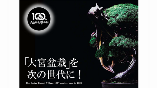 さいたま市が大宮盆栽村100周年クラウドファンディングを実施、盆栽夜市とミニ盆栽配布で文化継承に活用