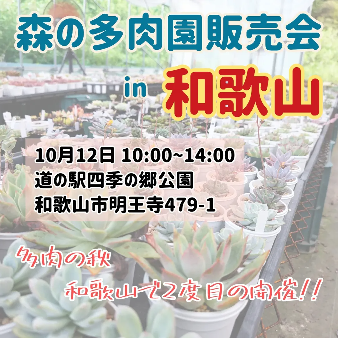 森の多肉園が販売会を追加開催、和歌山の道の駅四季の郷公園で第43回を実施し多肉シーズンの需要に応える
