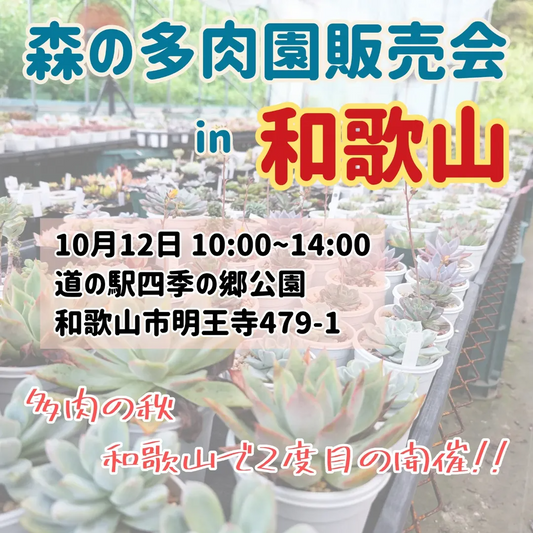 森の多肉園が販売会を追加開催、和歌山の道の駅四季の郷公園で第43回を実施し多肉シーズンの需要に応える