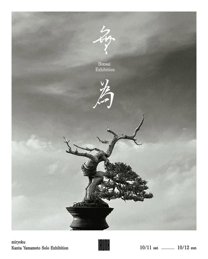 山本寛太が盆栽展示「無為」2025を10月11日から開催、自然に従うことをテーマにTRUNK(HOTEL) CAT STREETで実施